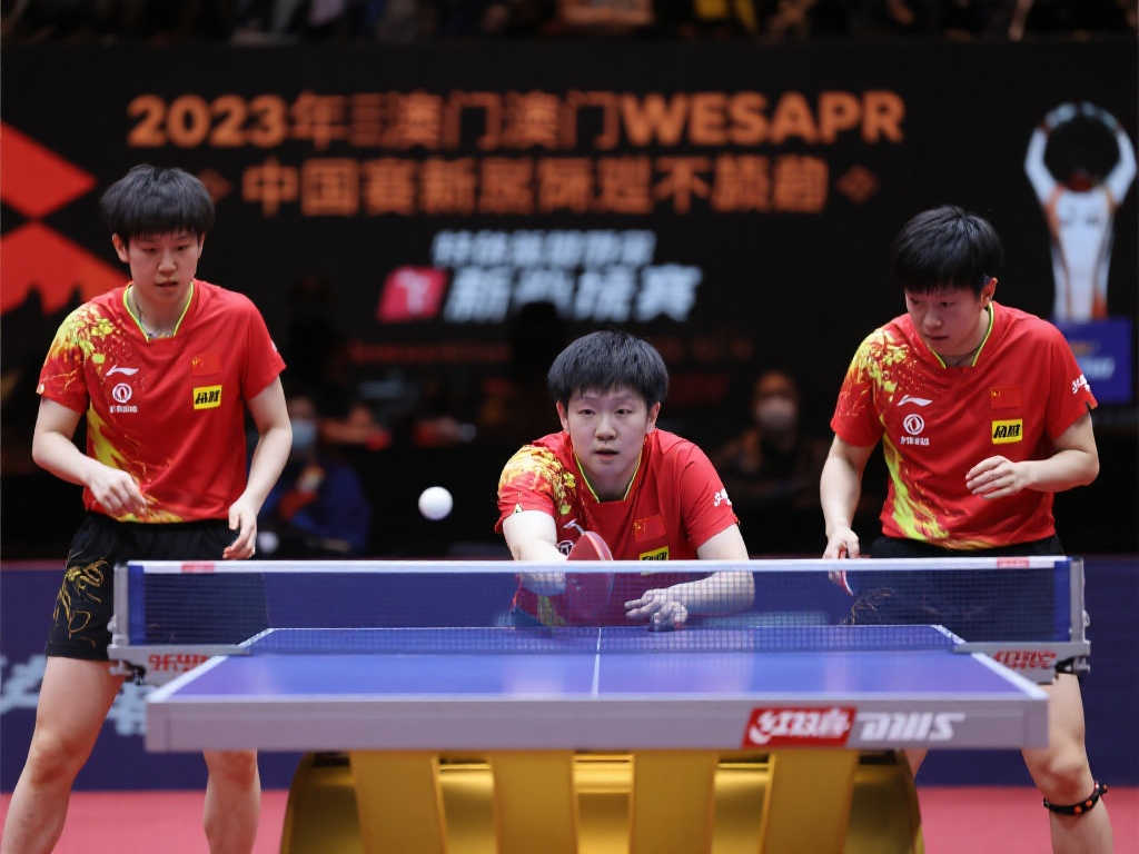 巴萨和多特 巴萨和多特