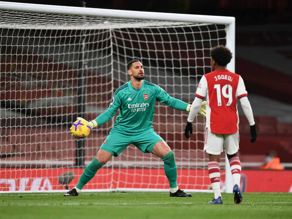 其他新星的 其他新星的